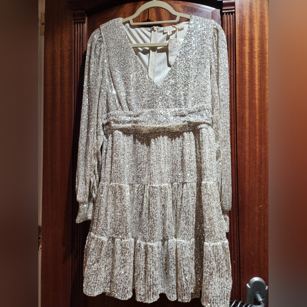 Hem & Thread Glittering Champagne Silver Sequin Dress M NWT